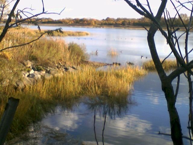 Wetlands of the United States