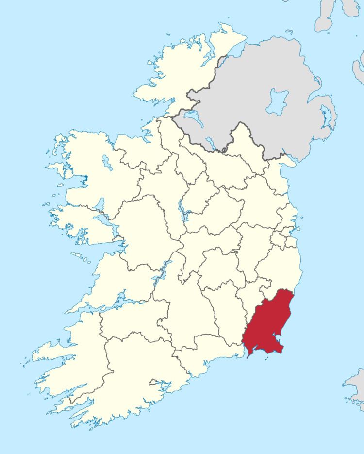 Wexford County Council election, 2009