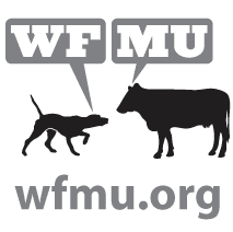 Live WFMU 91.1 - Wikipedia