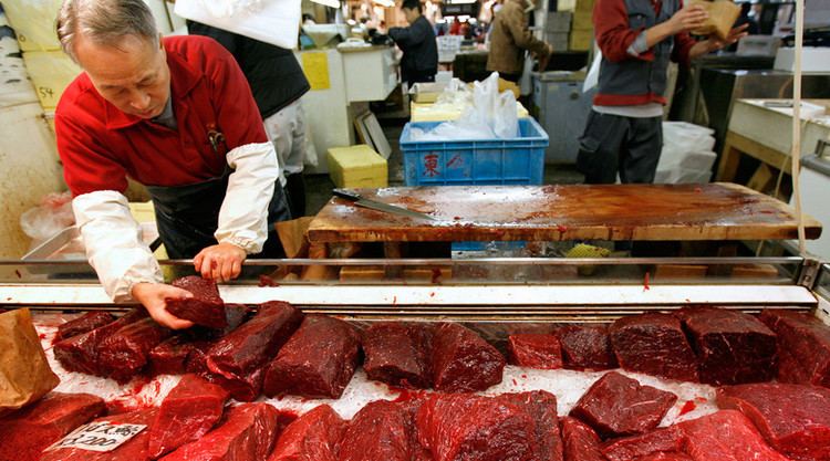 Whale meat Outrage as tons of whale meat shipped to Japan via Iceland RT News