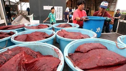 Whale meat How much is Moby Dick worth today