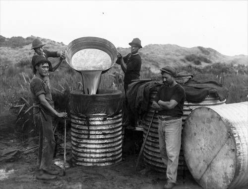 Whale oil Pouring whale oil Whaling Te Ara Encyclopedia of New Zealand