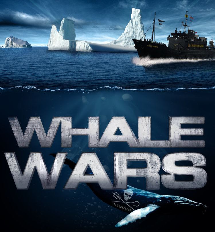 Whale Wars 10 images about Whale Wars on Pinterest Seasons Volunteers and A tv