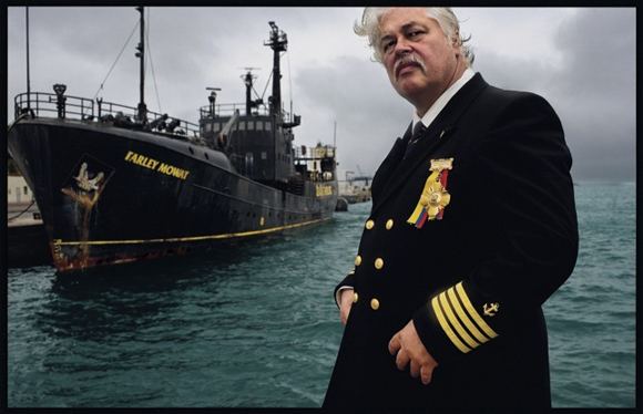 Whale Wars WhaleWar Fugitive Q amp A with Paul Watson The New Yorker