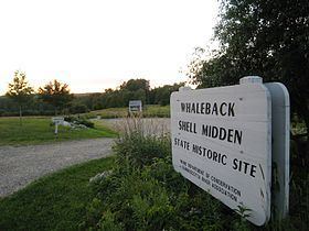 Whaleback Shell Midden httpsuploadwikimediaorgwikipediacommonsthu
