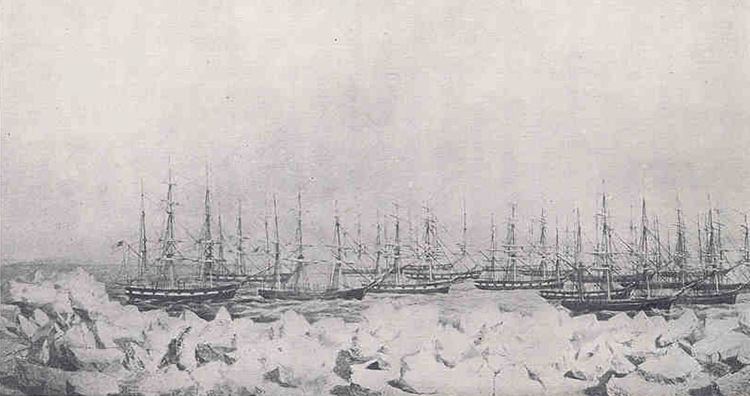 Whaling Disaster of 1871 from the Whaling Disaster of 1871 Found