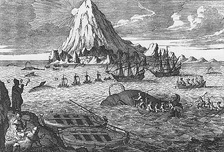 Whaling httpsuploadwikimediaorgwikipediacommonsthu