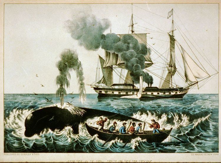 Whaling in the United States