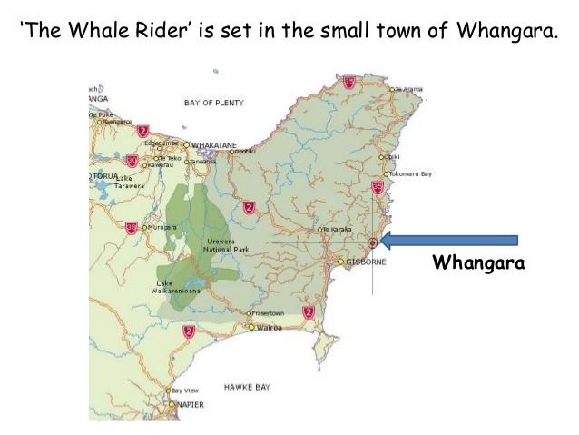 Whangara Whale rider whangara