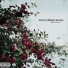 What Is Love? (Never Shout Never album) httpsuploadwikimediaorgwikipediaenthumb5