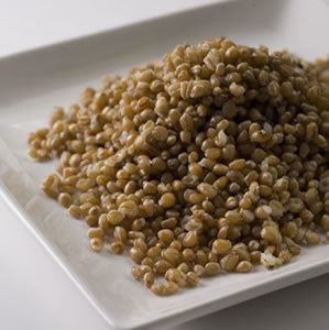 Wheat berry Wheat Berries Fast Cheap and Delicious Preparedness Pro