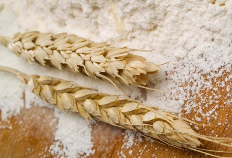 Wheat flour Wheat Flour Buy from SRK Impex PVT LTD India Uttar Pradesh