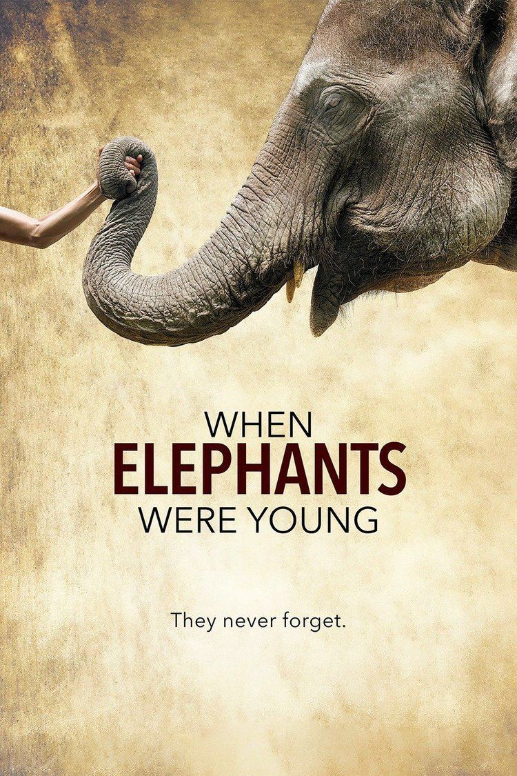 When Elephants Were Young wwwgstaticcomtvthumbmovieposters12576581p12