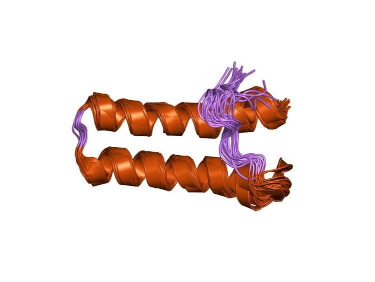 WHEP-TRS protein domain