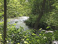 Whippany River httpsuploadwikimediaorgwikipediacommonsthu