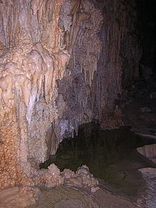Whipple Cave Formation httpsuploadwikimediaorgwikipediacommonsthu