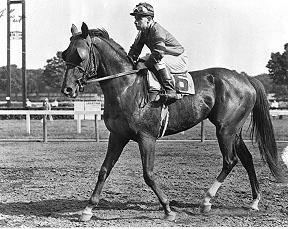 Whirlaway From Spicer Club to Whirlaway Horse Racing Nation