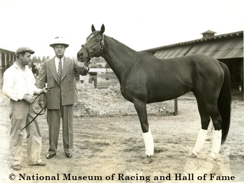 Whirlaway 1000 images about Whirlaway on Pinterest Horse racing USA and