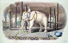 White elephant httpsuploadwikimediaorgwikipediacommonsthu