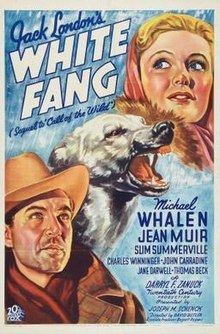 White Fang (1936 film) httpsuploadwikimediaorgwikipediaenthumb8