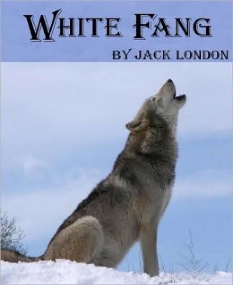 White Fang t1gstaticcomimagesqtbnANd9GcRqZadyx525PnrGV