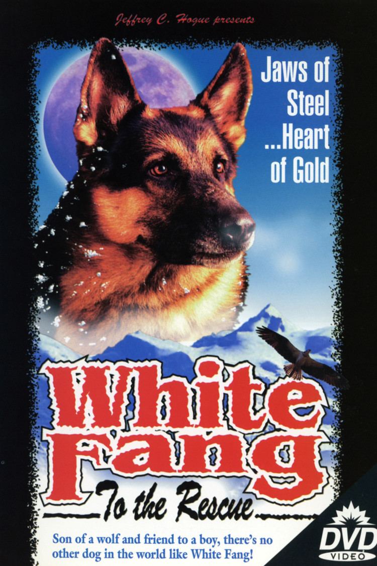 White Fang to the Rescue wwwgstaticcomtvthumbdvdboxart60178p60178d
