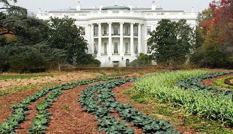 White House Vegetable Garden The War Over Michelle Obama39s Sortof Organic White House Garden