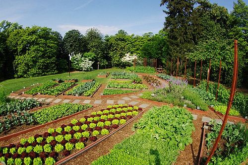 White House Vegetable Garden Alchetron The Free Social Encyclopedia