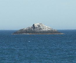 White Island, Otago httpsuploadwikimediaorgwikipediacommonsthu