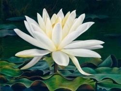 White Lotus Rebellion The White Lotus Rebellion 17961804 Chinese Buddhist Encyclopedia