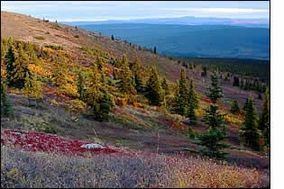 White Mountains National Recreation Area httpsuploadwikimediaorgwikipediacommonsthu