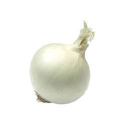 White onion White Onion in Chennai Tamil Nadu Suppliers Dealers amp Retailers