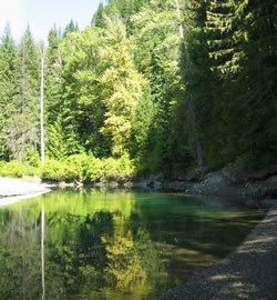 White River (Wenatchee Lake) wdfwwagovlandswildlifeareaschelanwhiterive