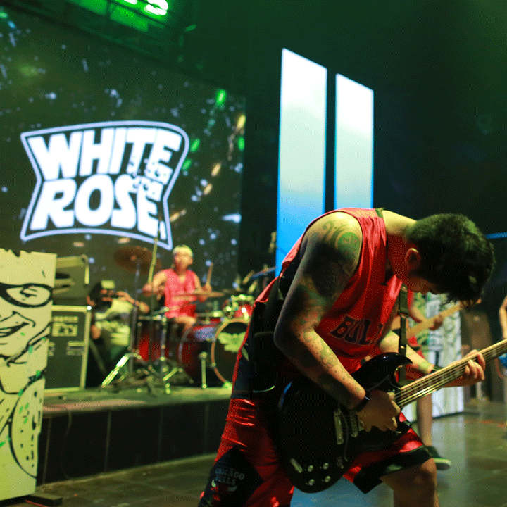White Rose (band) WHITE ROSE LAUNCHING NEW ALBUM Mave