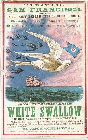 White Swallow httpsuploadwikimediaorgwikipediacommonsthu