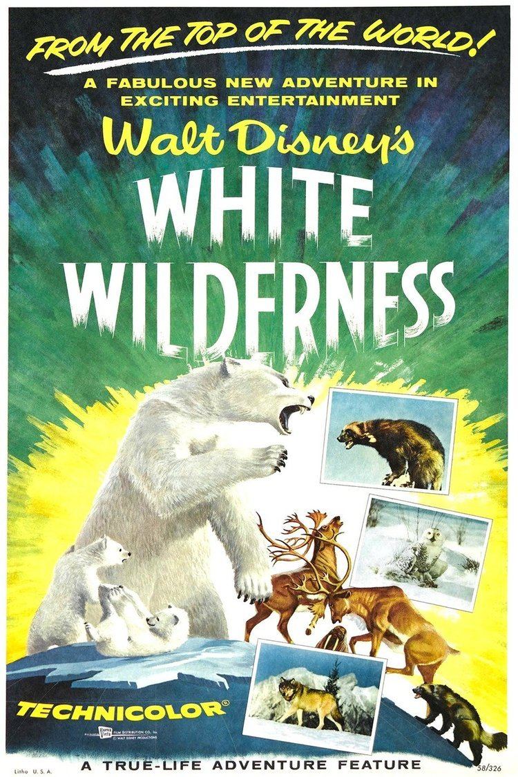 White Wilderness (film) wwwgstaticcomtvthumbmovieposters42949p42949