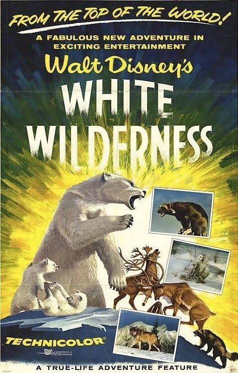 White Wilderness (film) Disney Film History White Wilderness Modern Mouse Radio