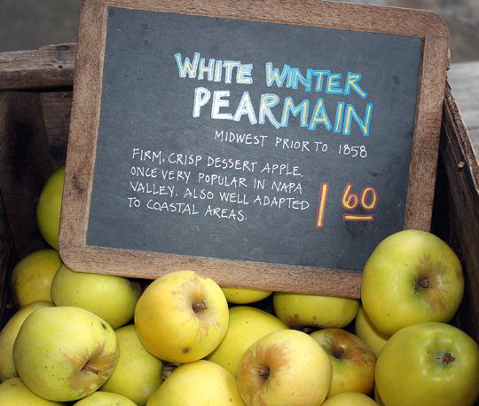 White Winter Pearmain A Visit to the Philo Apple Farm Food Gal