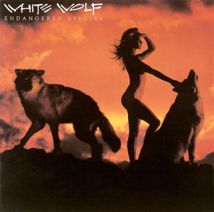 White Wolf (band) White Wolf I was in this band for about a year I39m now playing