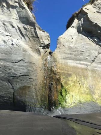 Whitecliffs Whitecliffs Walkway New Plymouth New Zealand Top Tips Before You