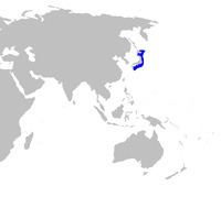 Whitefin dogfish httpsuploadwikimediaorgwikipediacommonsthu