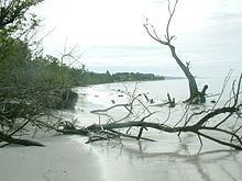 Whitehouse Beach httpsuploadwikimediaorgwikipediacommonsthu