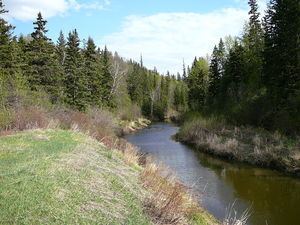 Whitemud Creek httpsuploadwikimediaorgwikipediacommonsthu