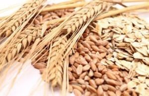 Whole grain Whole Grains The Nutrition Source Harvard TH Chan School of