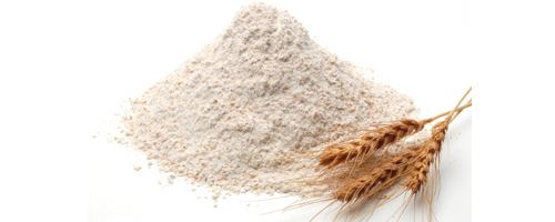Whole-wheat flour Organic Stone Ground Whole Wheat Flour in Canada Highwood Crossing