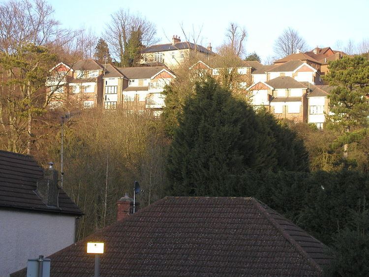 Whyteleafe