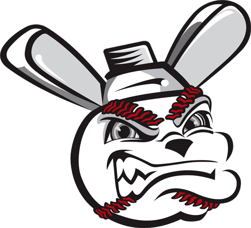Wichita Wingnuts Cleared for Takeoff The Story Behind the Wichita Wingnuts Chris