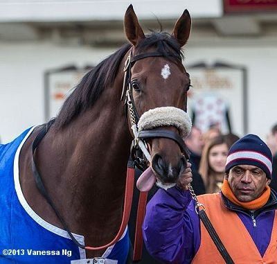 Wicked Strong Wicked Strong Flying Under the Radar Horse Racing Nation