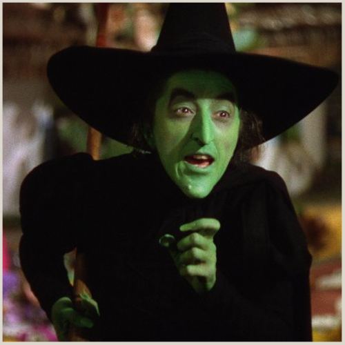 Wicked Witch of the West All Witches Aren39t Bad What the Wicked Witch of the West can Teach