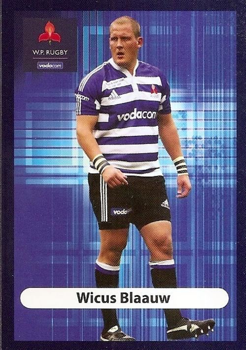 Wicus Blaauw Trading Cards 2009 BIG BALL RUGBY COLLECTION WICUS BLAAUW BASE